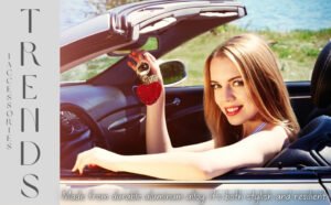 View 6: Versatile attachment