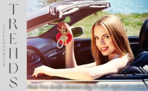 View 7: Gift ready presentation